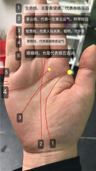 男人的手相(你的愛情運勢嗎)