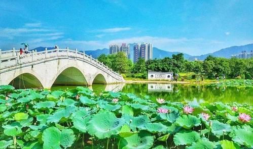 清遠旅游景點大全(你想去哪里放松身心)