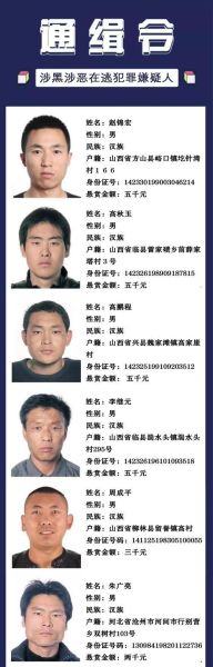 鞍山掃黑除惡名單列表(他們為何被列入名單)