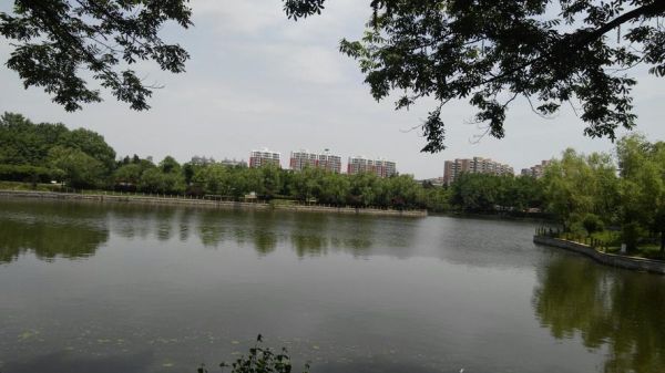 驛城區六月份天氣(適合戶外活動嗎)