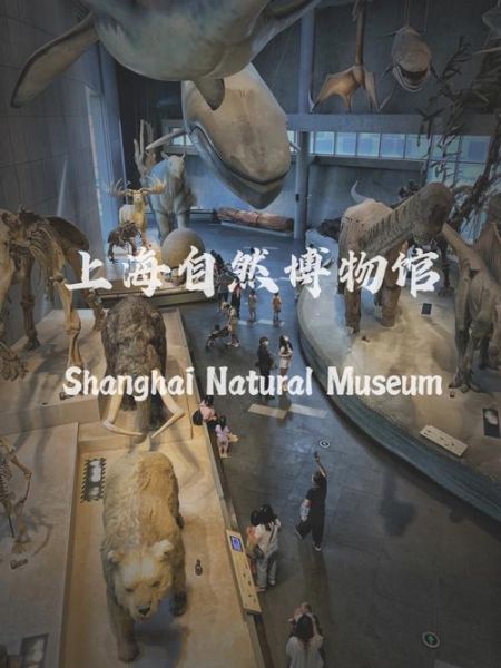 上海自然博物館攻略(有哪些必看展區)