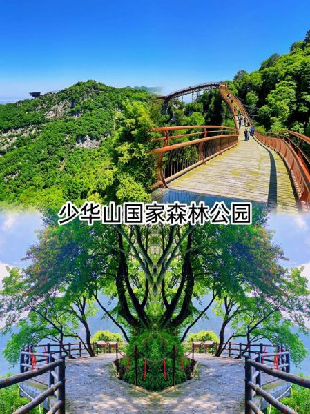少華山國家森林公園(你更想體驗哪個)