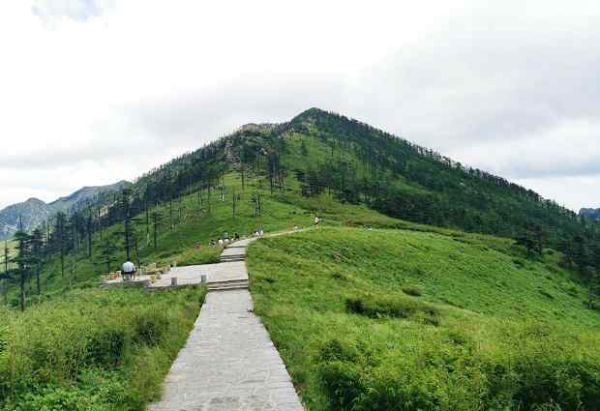 朱雀國(guó)家森林公園(秦嶺風(fēng)光等你來(lái))