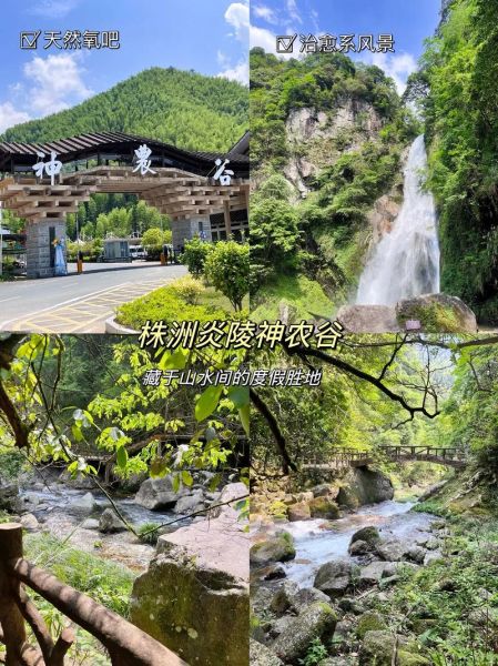 株洲神農谷(還有哪些值得體驗的)