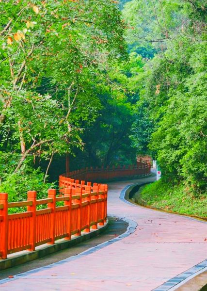 深圳鳳凰山(綠道風景怎么樣)