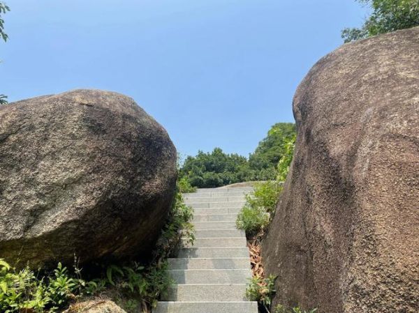 深圳鳳凰山(綠道風景怎么樣)