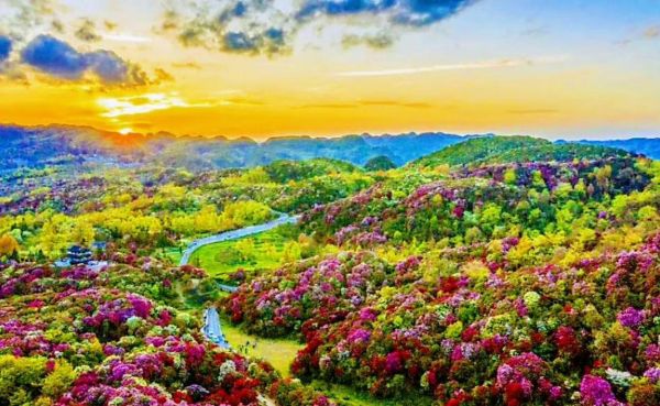 百里杜鵑風景名勝區(去過的人都說好)