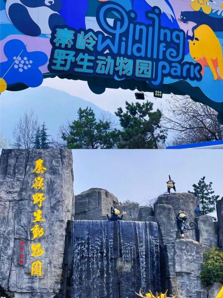 西安秦嶺野生動物園官網(怎么才能買票)