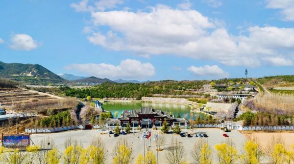 鄒平櫻花山風景區(適合帶孩子去嗎)