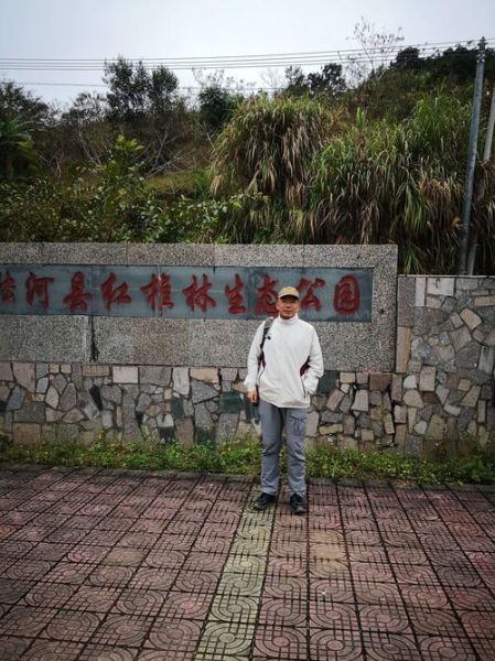 陸河旅游景點大全(還是去南萬紅椎林體驗生態)