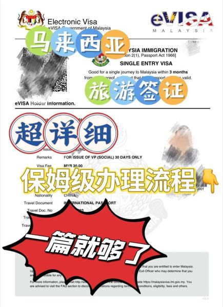 馬來西亞簽證(網上申請流程是什么)