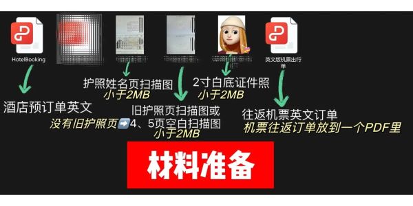 馬來西亞簽證(網上申請流程是什么)
