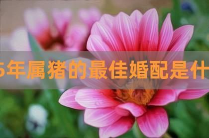 95年屬豬女的婚姻預(yù)測(cè)(她們的婚姻生活會(huì)充滿挑戰(zhàn)嗎)
