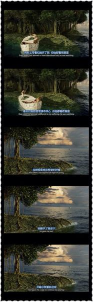 少年派的奇幻漂流經典臺詞(哪些臺詞讓你感觸最深)