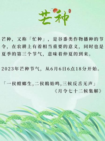 芒種是哪天(今年芒種是什么時候)