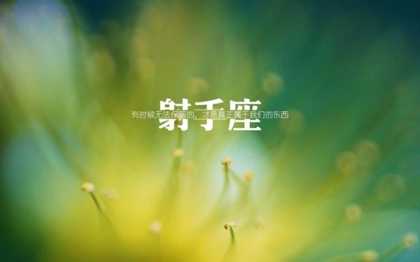 射手座看透的太多(  他們會因此感到孤獨嗎)