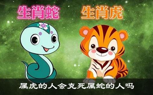 屬馬人2022年虎年運勢(他們會遇到什么機遇和挑戰)