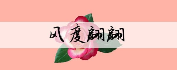 風度翩翩造句(還是精致的外表)