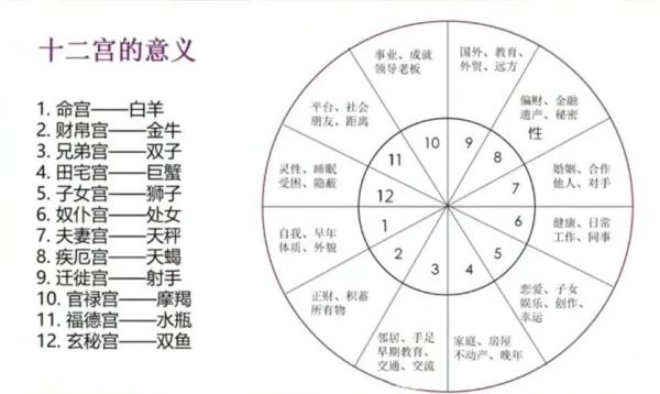 星座命宮解析(它能決定你的命運嗎)
