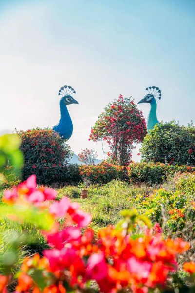 海南花梨谷旅游度假景區(有什么適合小朋友玩的)