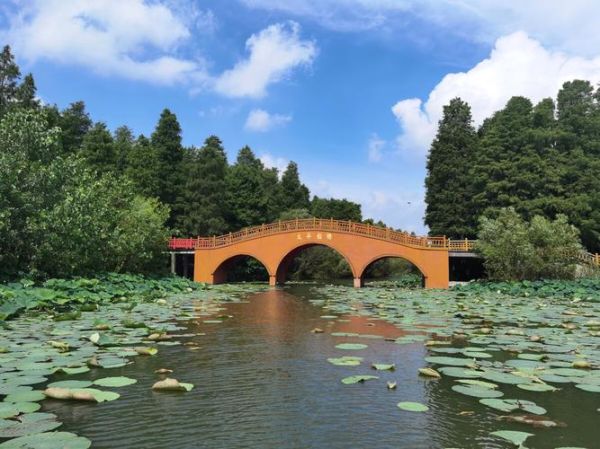 清水湖旅游度假區(適合周末放松嗎)