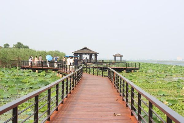 陽(yáng)澄湖旅游度假區(qū)(去哪里才能拍出最美照片)