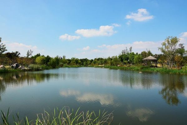陽(yáng)澄湖旅游度假區(qū)(去哪里才能拍出最美照片)