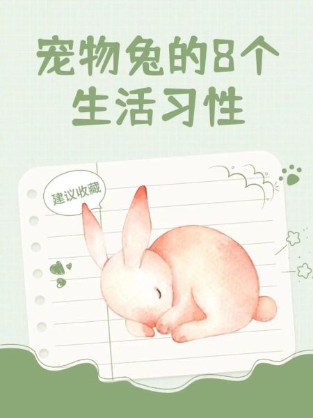 兔子生活習性(是因為它們怕熱嗎)