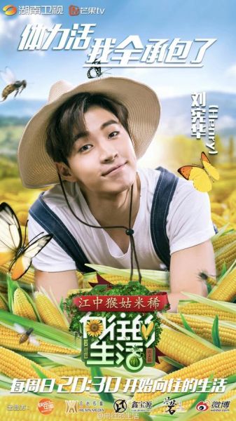 向往的生活在哪能看(手機(jī)上可以看嗎)