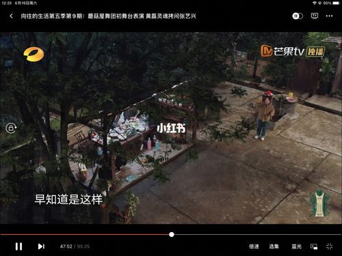 向往的生活影評(píng)(真的能讓人放松嗎)