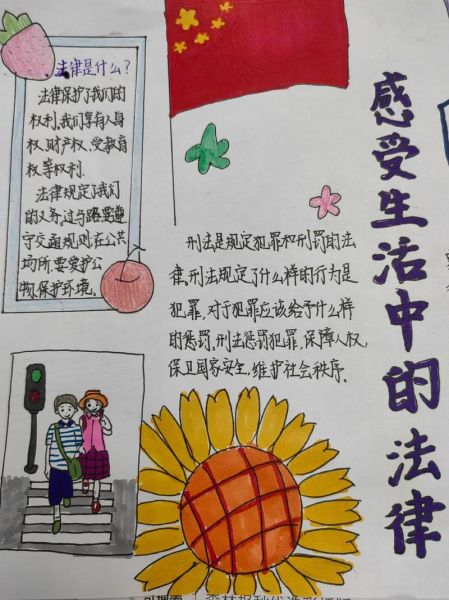 感受生活中的法律(我們應該怎么做)