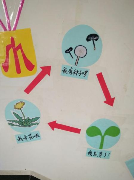 蒲公英的生活環境(它在什么地方才能生長)